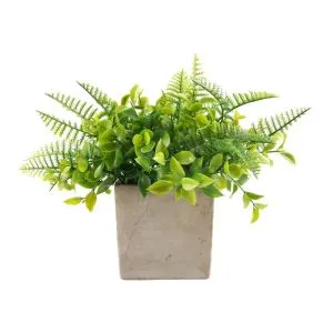 Mala bašta Mala vrtna biljka