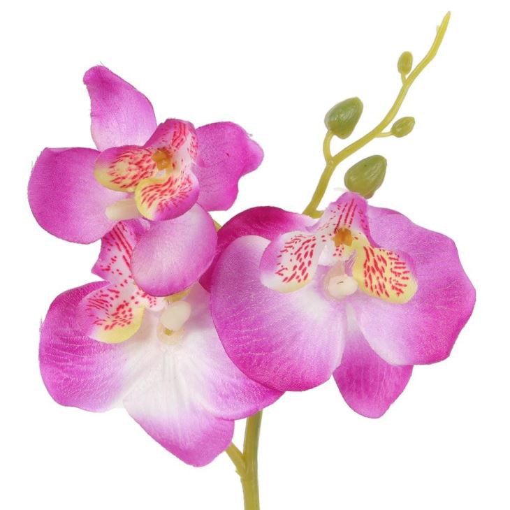 Purple Artificial Flowers And Plants