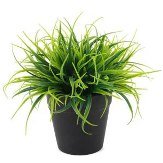 Kreativni dizajni Diy dekorativni cvijet cementa