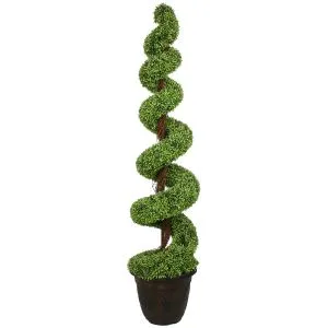 Spiralno topiari drvo Bonsai